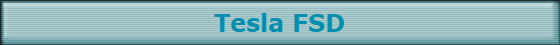 Tesla FSD